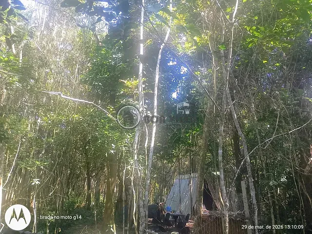 Chácara à venda, no bairro Dos Finco em São Bernardo do Campo