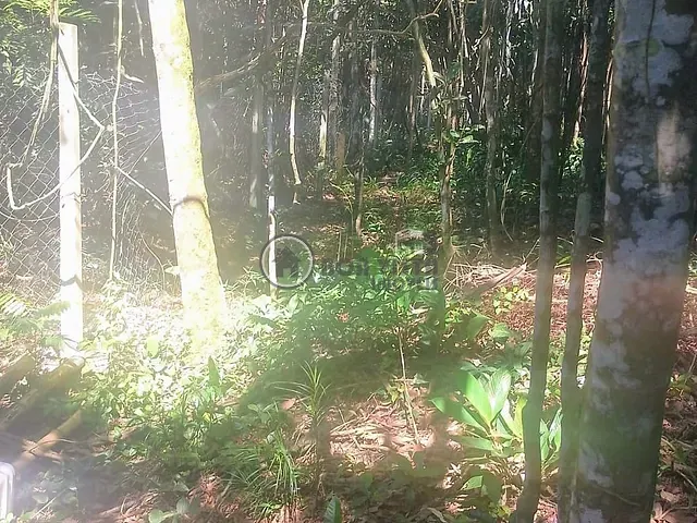Chácara à venda, no bairro Dos Finco em São Bernardo do Campo
