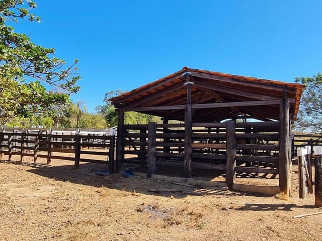 Foto do Fazenda / Sitio - Chácara à venda, ZONA RUAL, Padre Bernardo, GO | M360 Imóveis