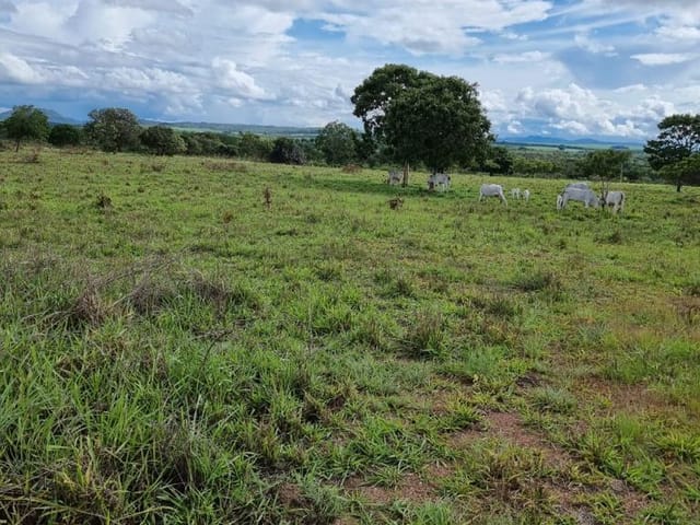 Foto do Fazenda / Sitio - Chácara à venda, ZONA RUAL, Padre Bernardo, GO | M360 Imóveis