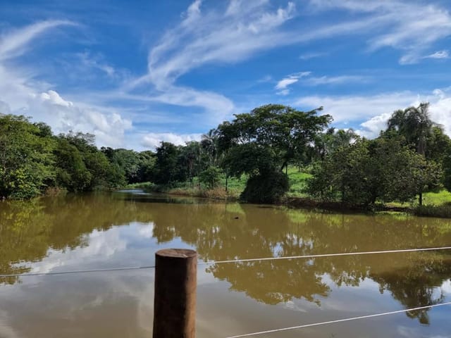 Foto do Fazenda / Sitio - Chácara à venda, ZONA RUAL, Padre Bernardo, GO | M360 Imóveis