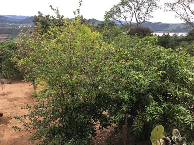 Foto do Chácara - Chácara à venda 3 Quartos, 10 Vagas, 24200M², Rio Acima, Vargem - SP | ZONA LESTE IMÓVEIS