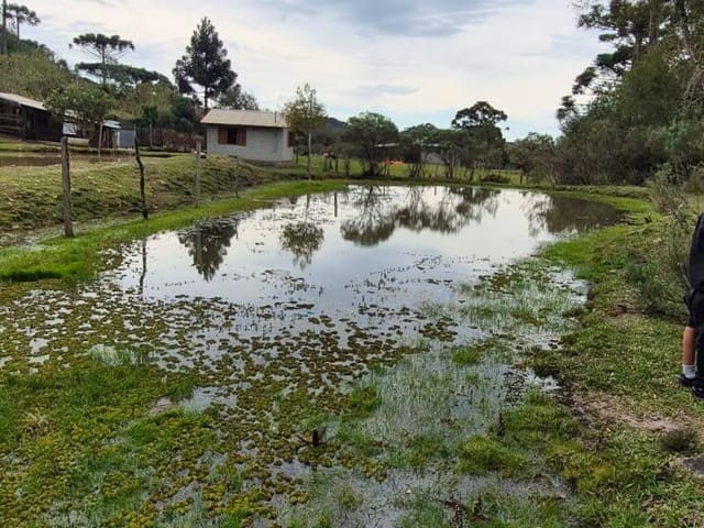 Chácara com 2000m² 5 quartos e 1 banheiro, à venda, no bairro Criúva em Caxias do Sul