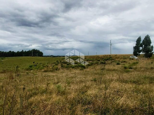 Chácara com 2000m² 5 quartos e 1 banheiro, à venda, no bairro Criúva em Caxias do Sul