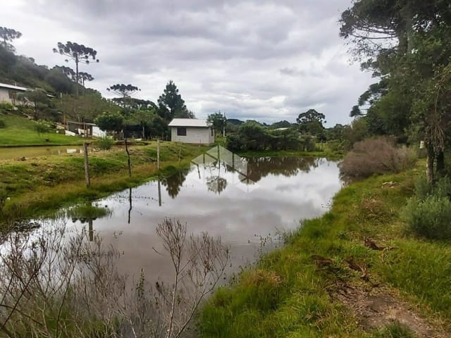 Chácara com 2000m² 5 quartos e 1 banheiro, à venda, no bairro Criúva em Caxias do Sul