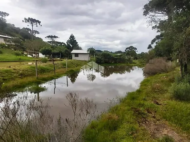 Chácara com 2000m² 5 quartos e 1 banheiro, à venda, no bairro Criúva em Caxias do Sul