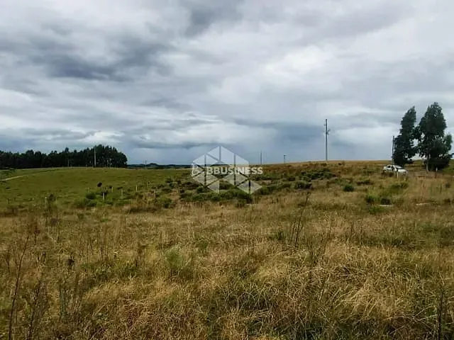 Chácara com 2000m² 5 quartos e 1 banheiro, à venda, no bairro Criúva em Caxias do Sul