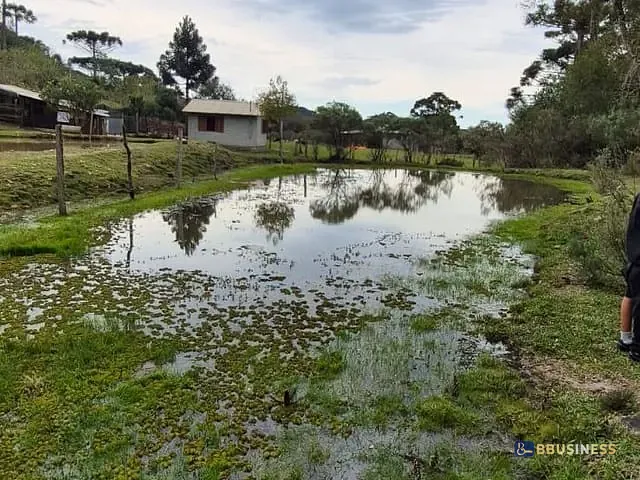 Chácara com 2000m² 5 quartos e 1 banheiro, à venda, no bairro Criúva em Caxias do Sul
