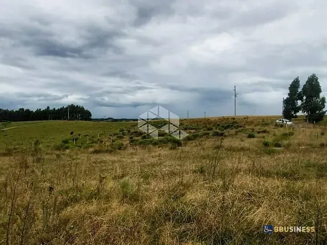 Chácara com 2000m² 5 quartos e 1 banheiro, à venda, no bairro Criúva em Caxias do Sul