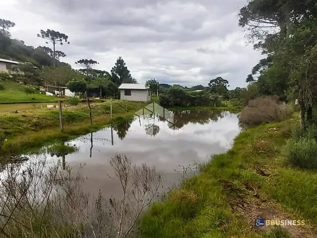 Chácara com 2000m² 5 quartos e 1 banheiro, à venda, no bairro Criúva em Caxias do Sul
