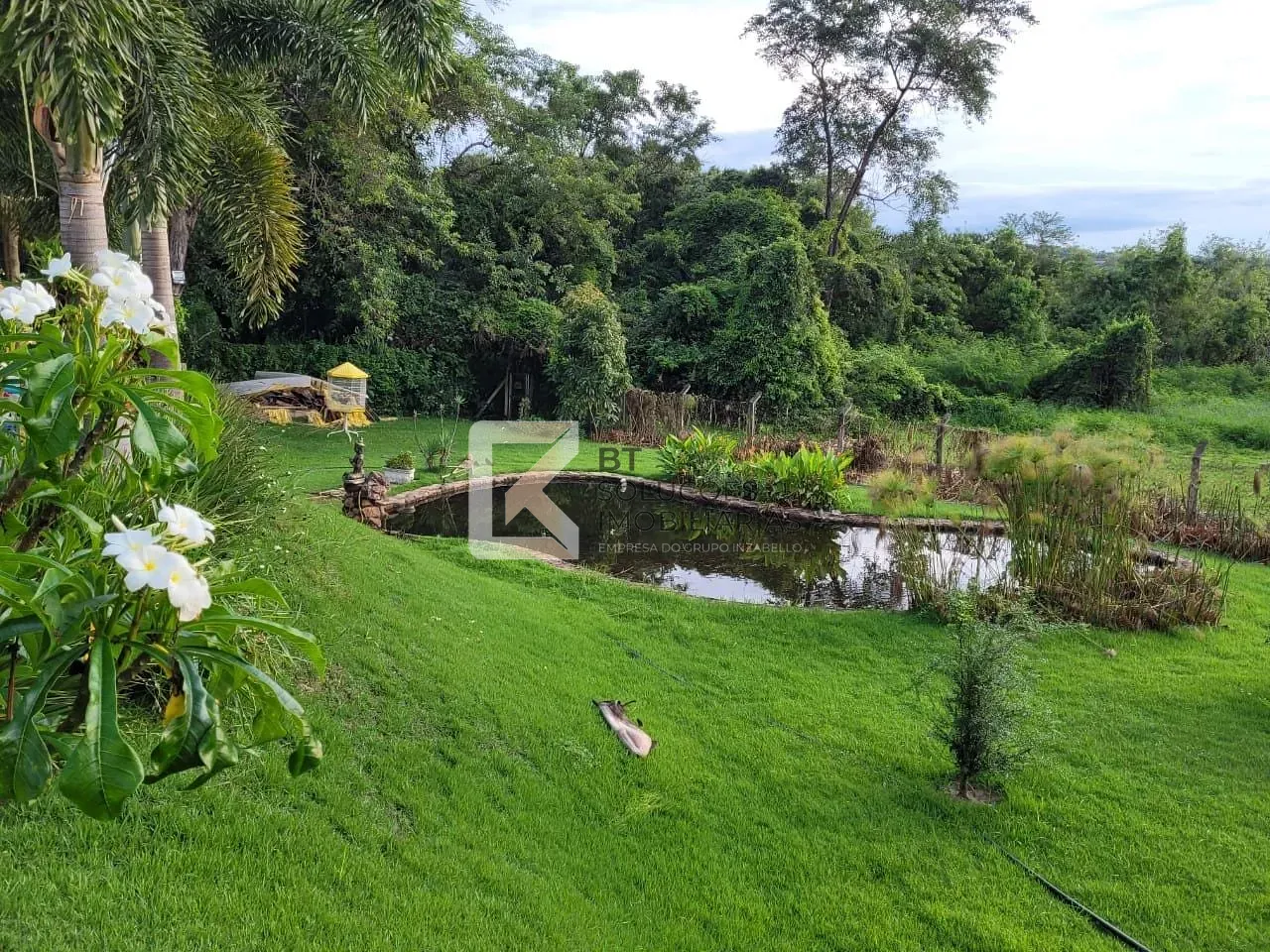 Chácara, 3 quartos, 2500 m² - Foto 14