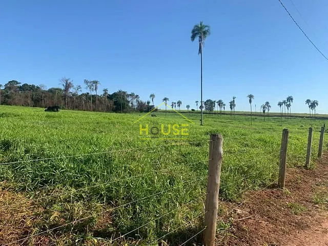 Chácara com 20000m², à venda, no bairro Rural em Parisi