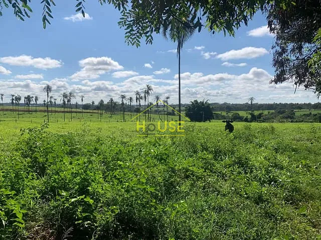 Chácara com 20000m², à venda, no bairro Rural em Parisi