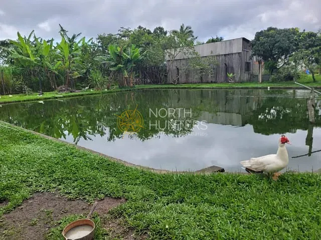 Chácara com 17000m² 3 quartos e 3 banheiros, à venda, no bairro Zona Rural em Balneário Barra do Sul