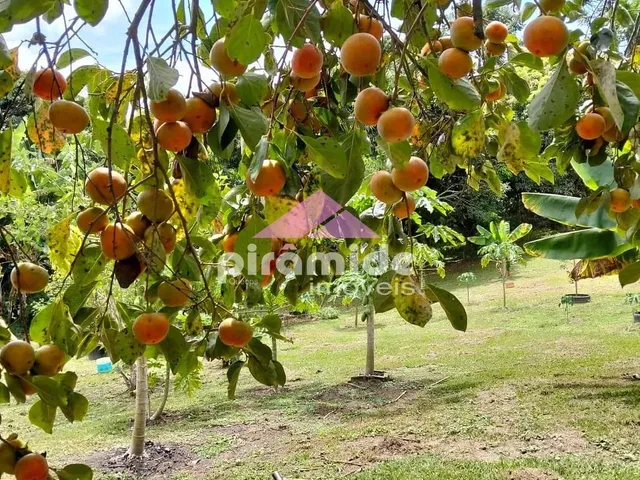 Chácara com 6160m² 5 quartos e 4 banheiros, à venda, no bairro Área Rural de Paraibuna em Paraibuna