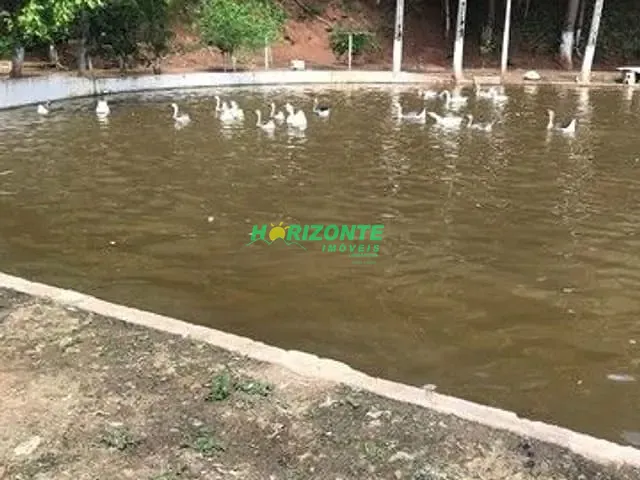 Chácara com 121000m² 5 quartos e 5 banheiros, à venda, no bairro Condomínio Recanto Pássaros em Jacareí