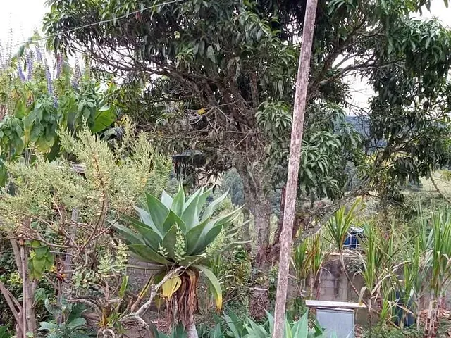 Chácara com 1760m² 2 quartos e 1 banheiro, à venda, no bairro LARANJEIRAS DE CALDAS em Caldas