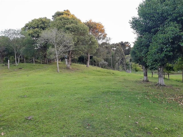 Chácara com 200m² 5 quartos e 3 banheiros, à venda, no bairro Linha São João em Antônio Prado
