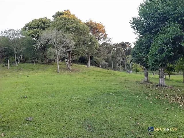 Chácara com 200m² 5 quartos e 3 banheiros, à venda, no bairro Linha São João em Antônio Prado