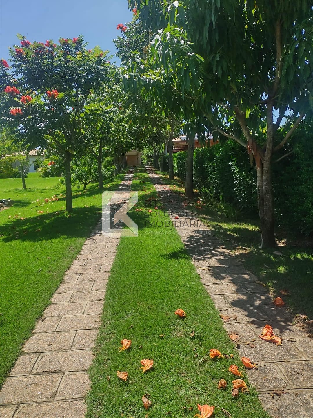 Chácara, 3 quartos, 2500 m² - Foto 5