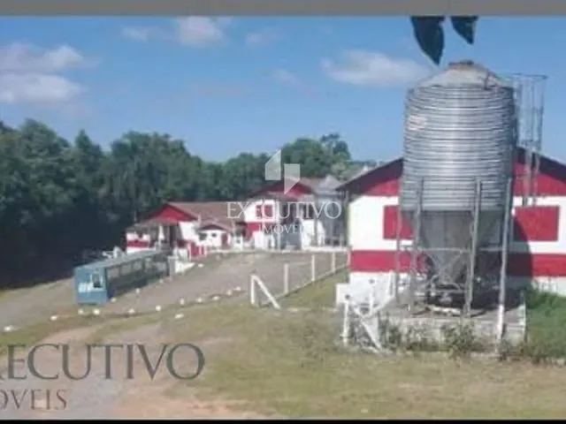 Chácara com 30000m² 2 quartos e 2 banheiros, à venda, no bairro Centro em Capitão
