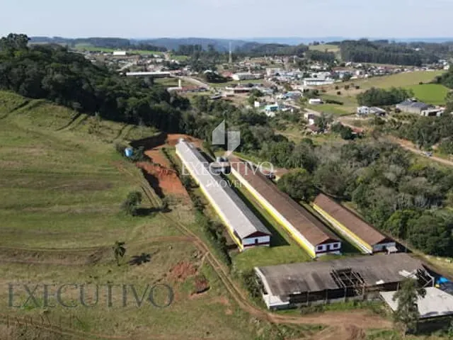 Chácara com 30000m² 2 quartos e 2 banheiros, à venda, no bairro Centro em Capitão