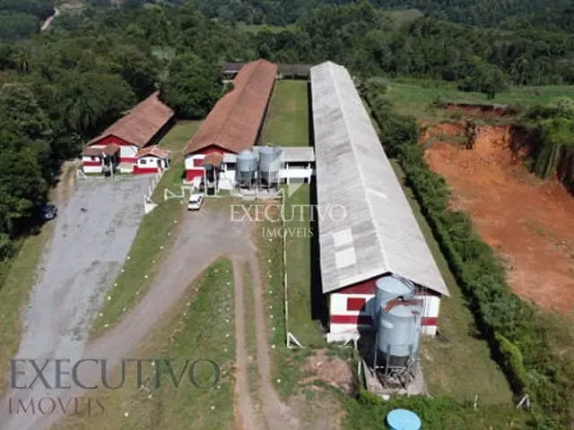 Chácara com 30000m² 2 quartos e 2 banheiros, à venda, no bairro Centro em Capitão