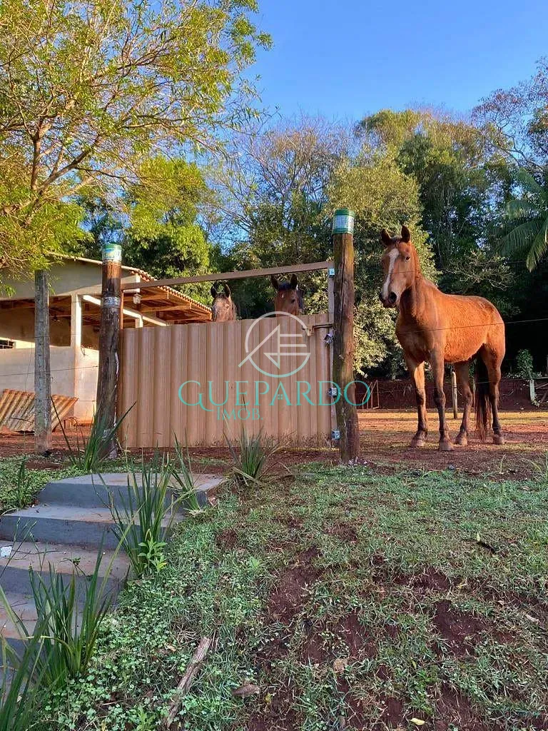 Chácara, 3 quartos, 6000 m² - Foto 9