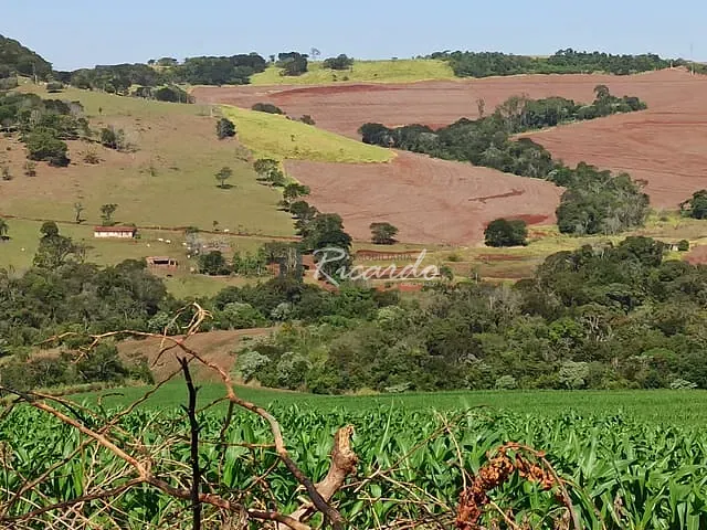 Chácara com 308550m², à venda, no bairro Área Rural de Londrina em Londrina
