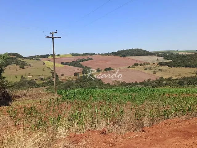 Chácara com 308550m², à venda, no bairro Área Rural de Londrina em Londrina