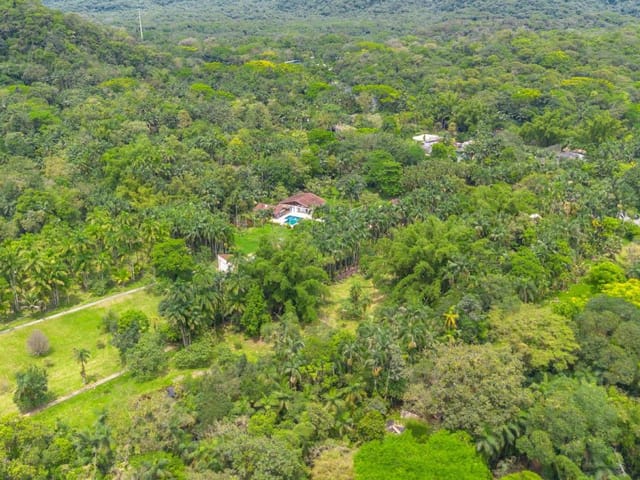 Sítio com 45456m² 4 quartos e 4 banheiros, à venda, no bairro Porto de Cima em Morretes