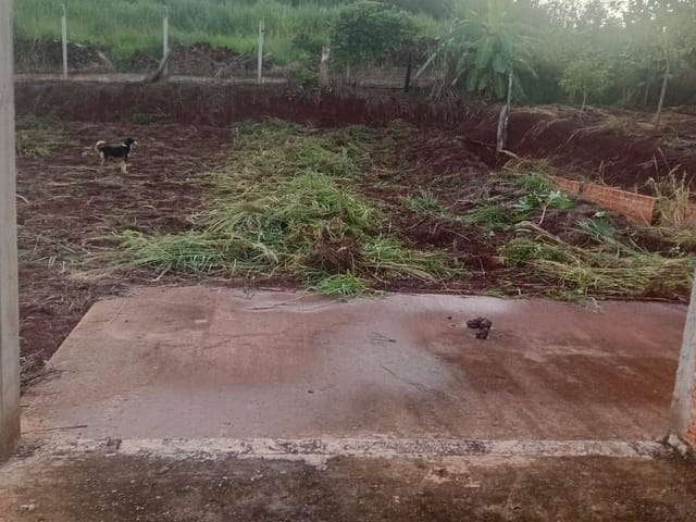 Chácara 3 quartos e 1 banheiro, à venda, no bairro Selva em Londrina