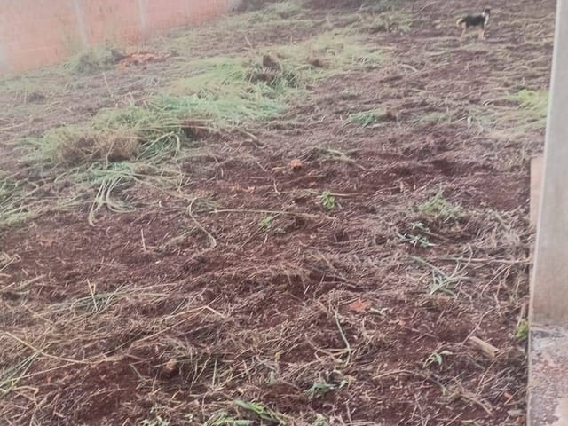 Chácara 3 quartos e 1 banheiro, à venda, no bairro Selva em Londrina