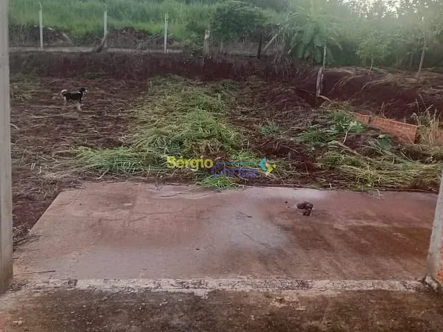 Chácara 3 quartos e 1 banheiro, à venda, no bairro Selva em Londrina