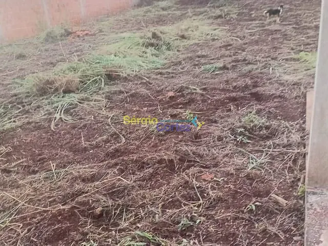 Chácara 3 quartos e 1 banheiro, à venda, no bairro Selva em Londrina
