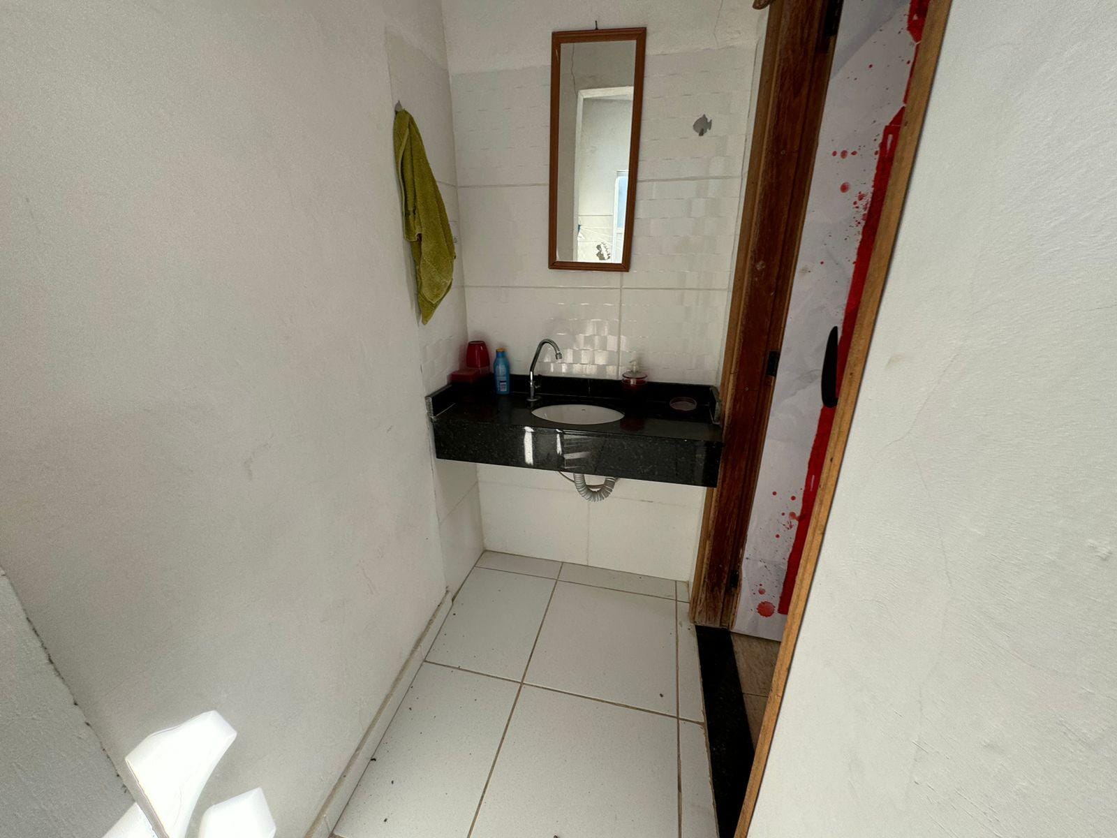 Chácara, 3 quartos, 10000 m² - Foto 36