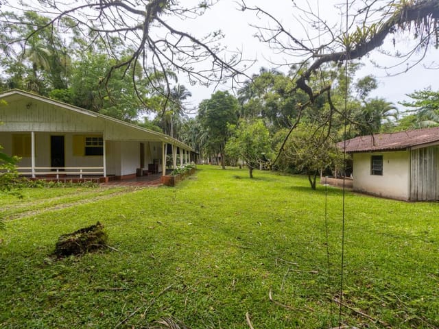 Sítio com 36300m² 3 quartos e 3 banheiros, à venda, no bairro Porto de Cima em Morretes
