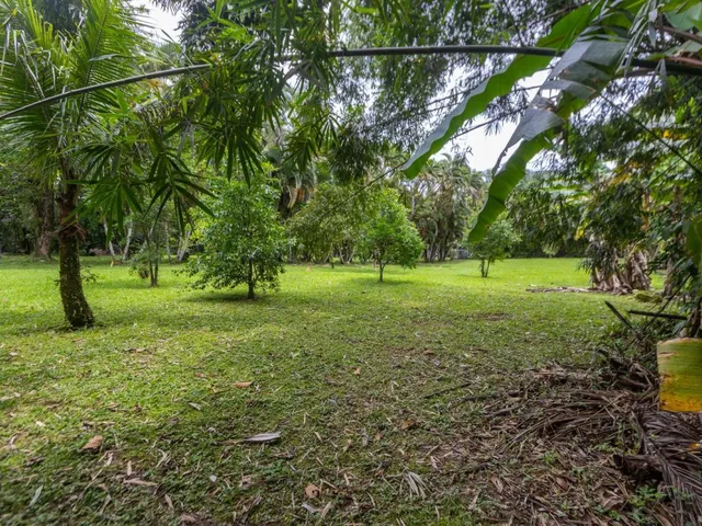 Sítio com 36300m² 3 quartos e 3 banheiros, à venda, no bairro Porto de Cima em Morretes