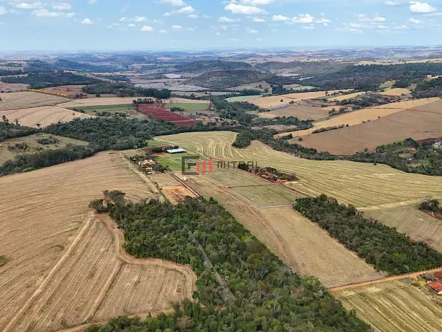 Chácara 4 quartos e 2 banheiros, para alugar, no bairro Gleba Fazenda Palhano em Londrina
