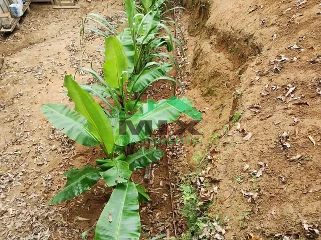 Chácara com 1750m², à venda, no bairro Santa Luzia em Ribeirão Pires