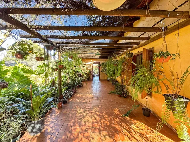 Chácara com 10000m² 3 quartos e 2 banheiros, à venda, no bairro Área Rural de Londrina em Londrina