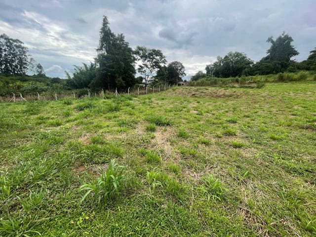 Chácara à venda, no bairro Selva em Londrina