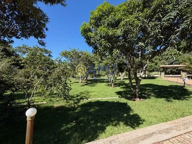 Sítio, 5 quartos, 4887 m² - Foto 40
