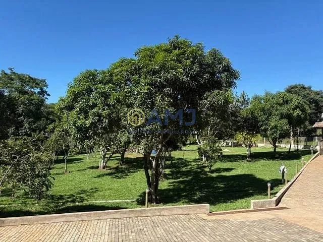 Sítio, 5 quartos, 4887 m² - Foto 7