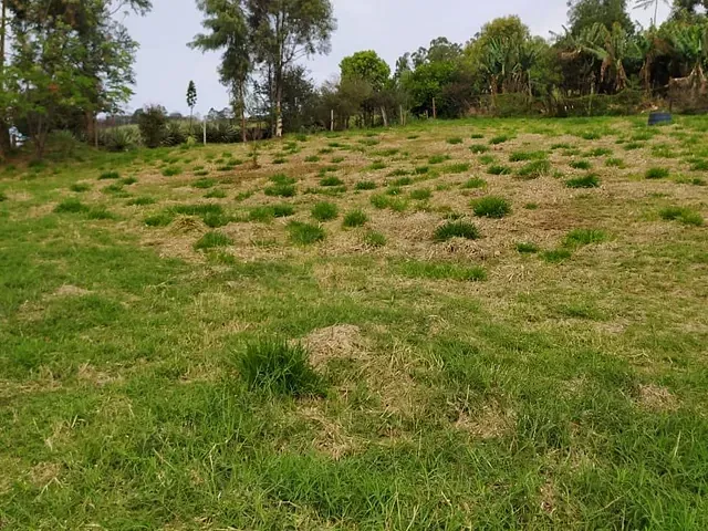 Chácara com 21000m², à venda, no bairro Trevo de Cambira em Cambira