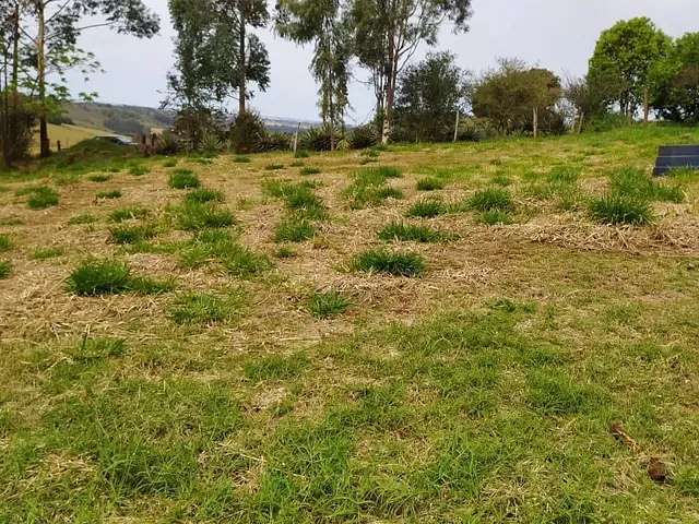 Chácara com 21000m², à venda, no bairro Trevo de Cambira em Cambira