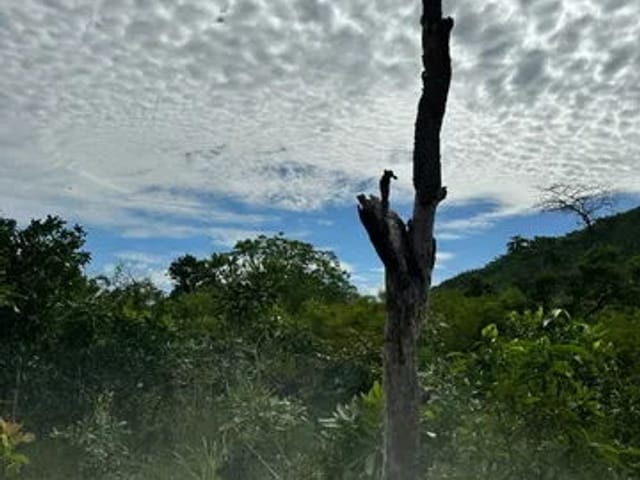 Chácara à venda, no bairro Zona Rural em Chapada Dos Guimarães
