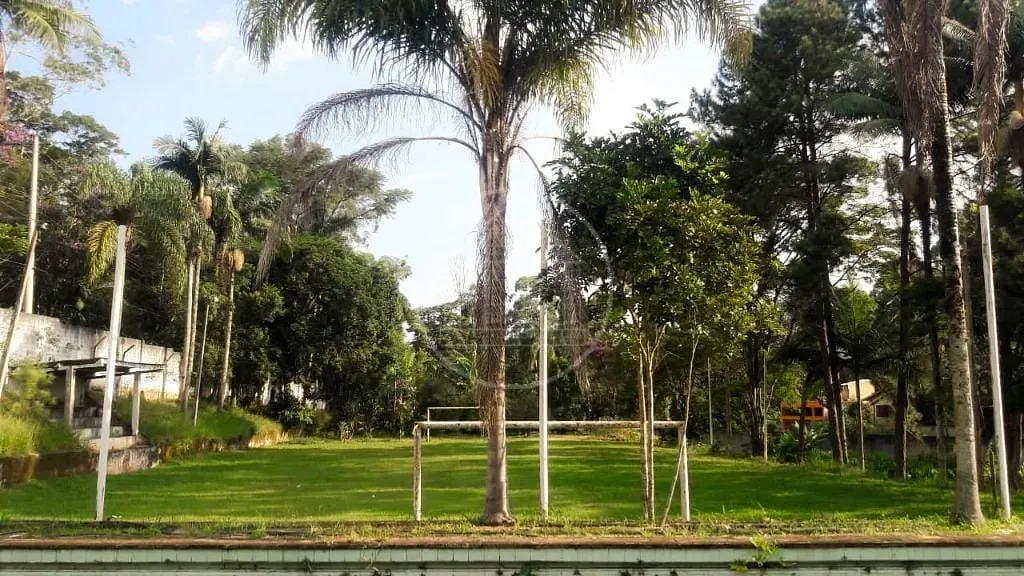 Sítio, 3 quartos, 5000 m² - Foto 1