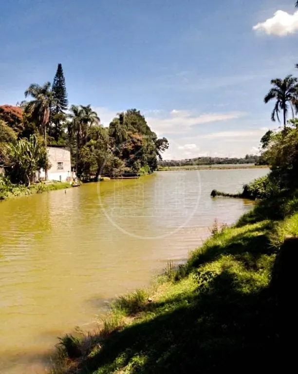 Sítio, 3 quartos, 5000 m² - Foto 30