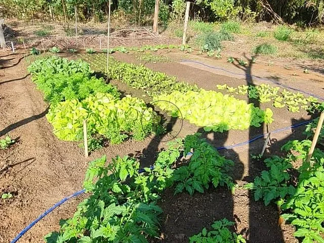 Chácara com 3000m² 3 quartos e 4 banheiros, à venda, no bairro Bom Jardim I em Guaratinguetá